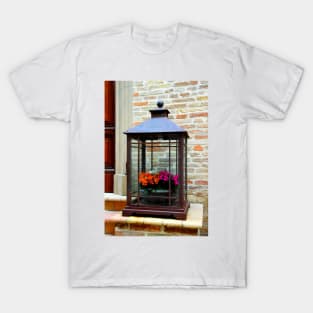 Lantern with flowers in Grottammare Alta T-Shirt